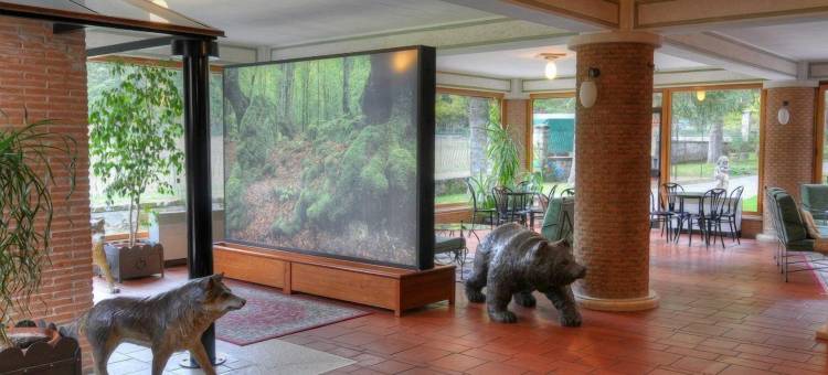 LH 皮基奥酒店(LH Albergo Il Picchio)图片