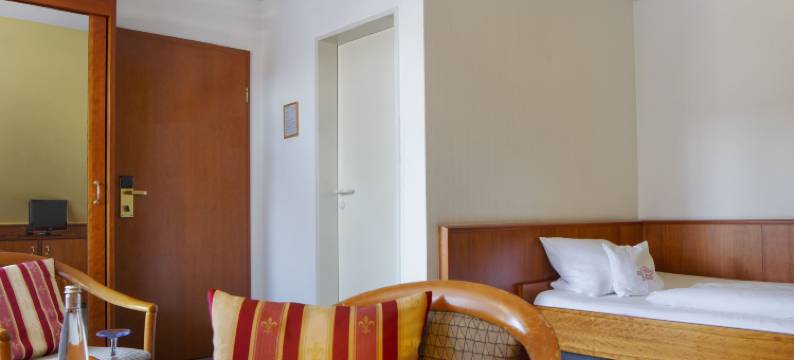 茵维特洛文弗赖堡酒店(Hotel Schwärs Löwen Freiburg)图片