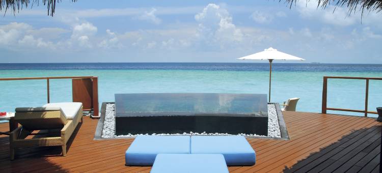 马尔代夫康斯丹哈拉薇莉酒店(Constance Halaveli)图片