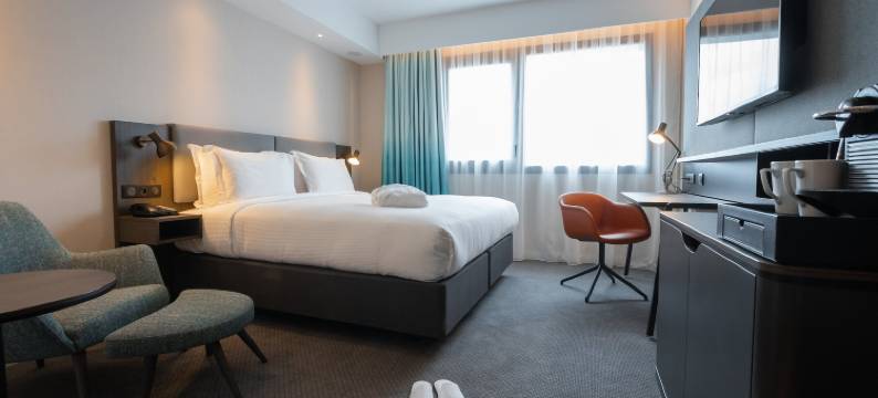 巴黎戴高乐机场假日酒店(Holiday Inn PARIS - CDG AIRPORT by IHG)图片