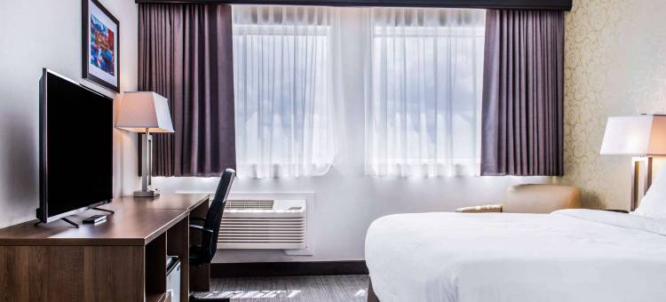 多瓦尔品质酒店(Quality Hotel Dorval Aeroport)图片