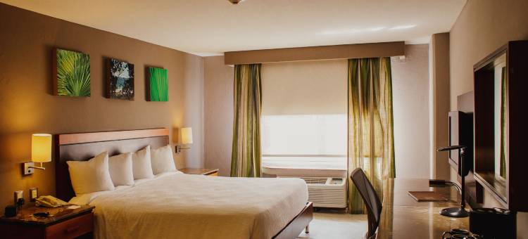 希尔顿花园酒店-博卡德尔里奥(Hilton Garden Inn Boca del Rio, Veracruz)图片