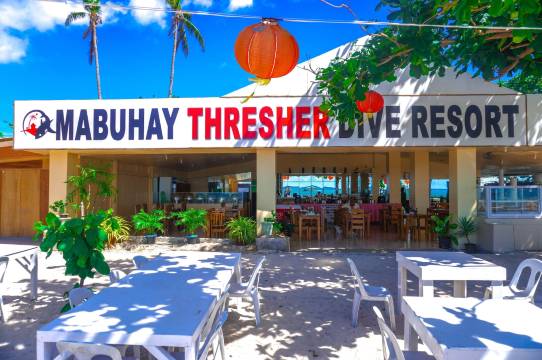 Cocotel马布海长尾鲨潜水度假村(Mabuhay Thresher Dive Resort by Cocotel)