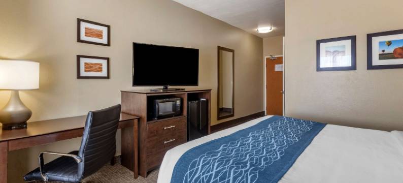 滑铁卢-雪松瀑布舒适套房酒店(Comfort Inn & Suites Waterloo - Cedar Falls)图片