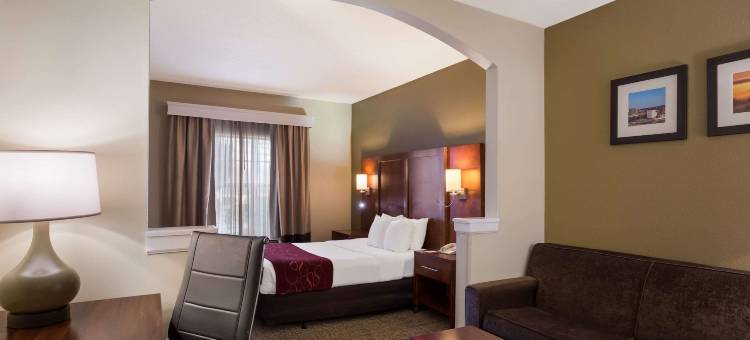 大学附近舒适套房酒店(Comfort Suites Near University)图片