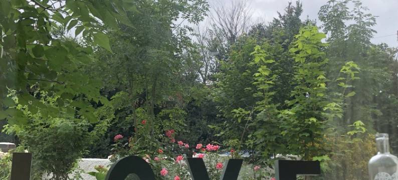 完整住宅小屋带大花园(Whole House Cottage with Parking and Huge Garden)图片