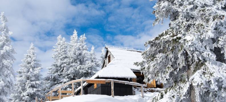 科卡比斯特拉 - 威力卡普拉妮娜饭店(Koča Bistra - Velika Planina)图片