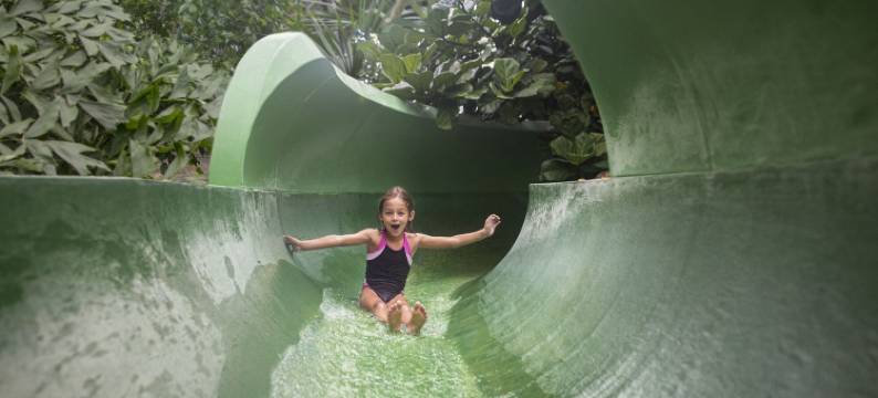 列斯豪斯德布鲁叶中央公园酒店(Center Parcs les Hauts de Bruyères)图片