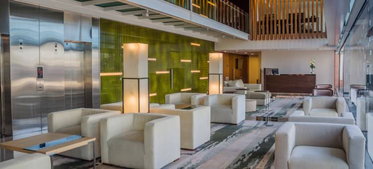 蒙得维的亚希尔顿花园酒店(Hilton Garden Inn Montevideo)图片