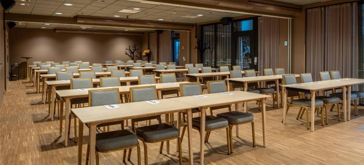 斯堪迪克大酒店(Scandic Stora Hotellet)图片