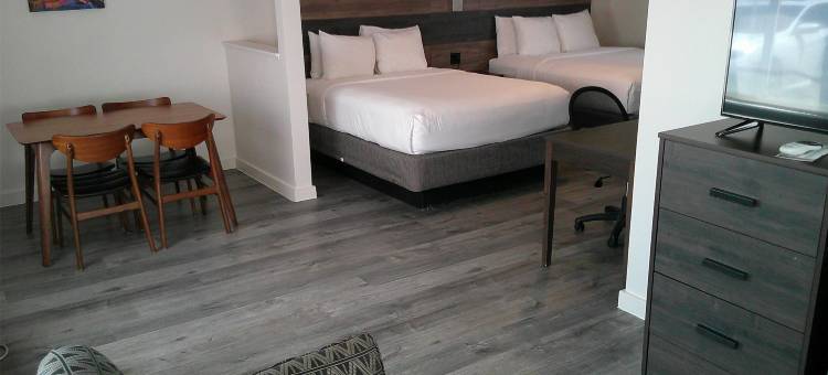 盖恩斯维尔Hom酒店贝斯特韦斯特SureStay Collection(Hom Hotel Gainesville, SureStay Collection by Best Western)图片