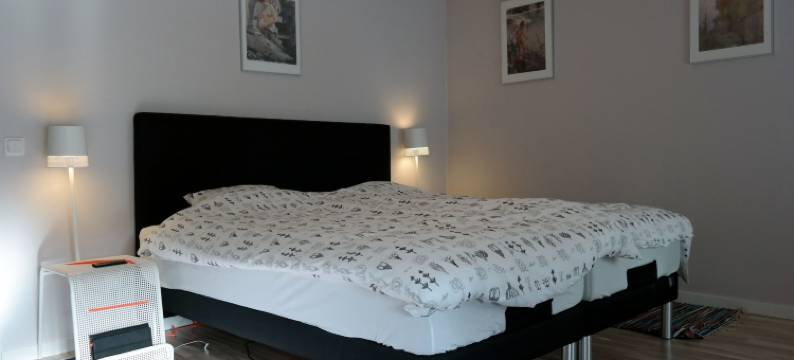 纳塞特斯马库斯农场公寓(Näsets Marcusgård)图片