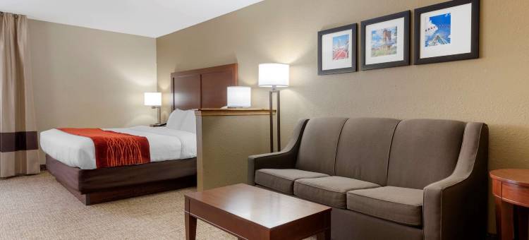 辛辛那提东门舒适套房酒店(Comfort Inn & Suites Cincinnati Eastgate)图片