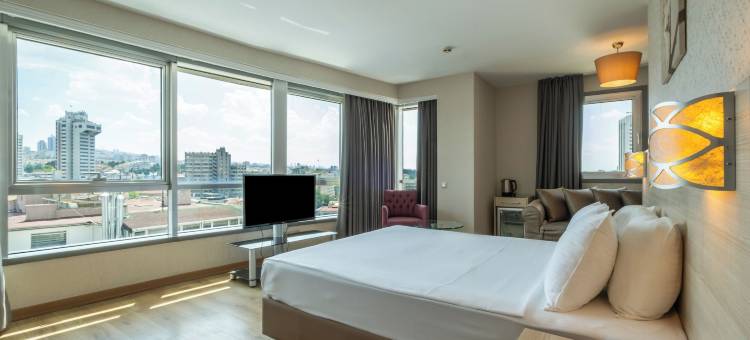 安卡拉温德姆华美达酒店(Ramada by Wyndham Ankara)图片