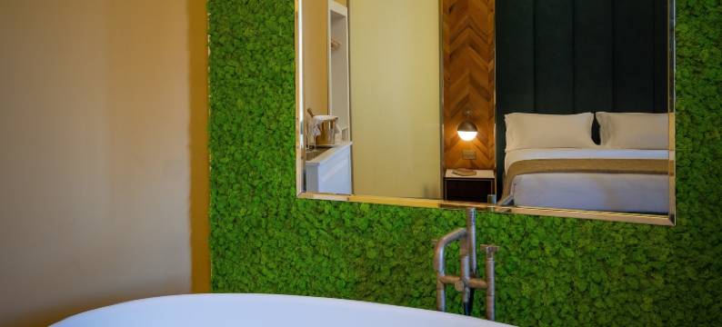 诺哈西宫殿(Nohasi Palace Lifestyle Hotel & Spa)图片