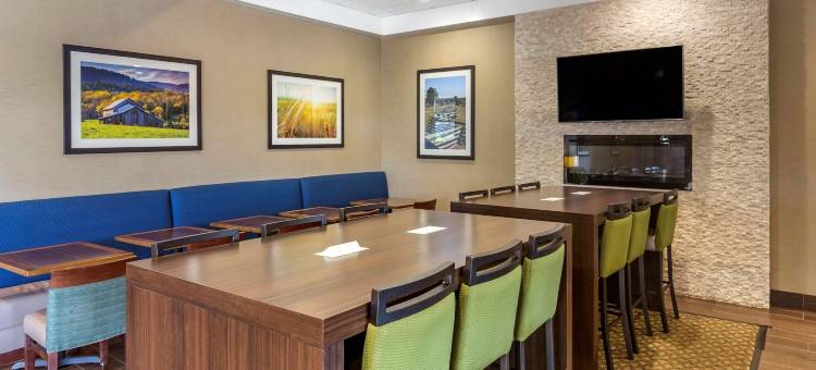 舒适套房酒店-近丹维尔购物中心(Comfort Inn & Suites Near Danville Mall)图片