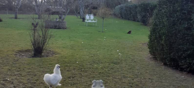 上蒙塔耶酒店(7 , le Haut Montrayé)图片