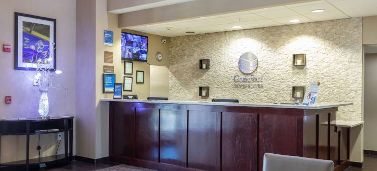 西南休斯顿舒格兰舒适套房酒店(Comfort Inn & Suites SW Houston Sugarland)图片