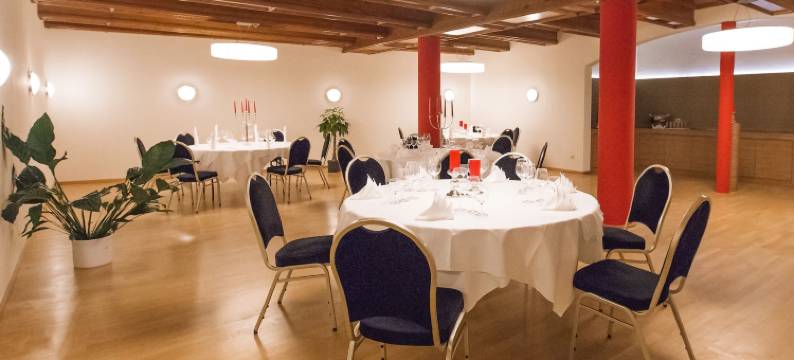 维连根-宪汶宁多梅洛酒店(Dormero Hotel Villingen-Schwenningen)图片