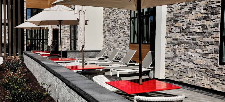 贝莱尔希尔顿花园酒店(Hilton Garden Inn Bel Air)图片