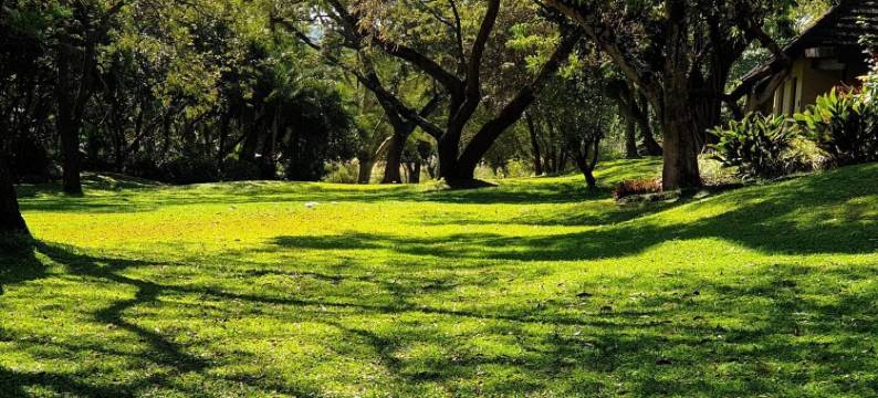 萨比河太阳度假村(Sabi River Sun Resort)图片