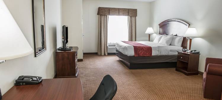 辛辛那提机场舒适套房酒店(Comfort Suites Cincinnati Airport)图片