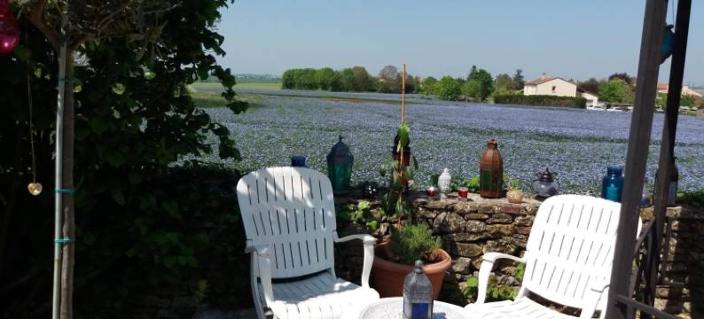 赞助酒店(Le Patronage)图片