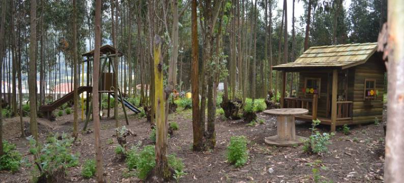 梅迪纳湖酒店(Hotel Medina Del Lago)图片