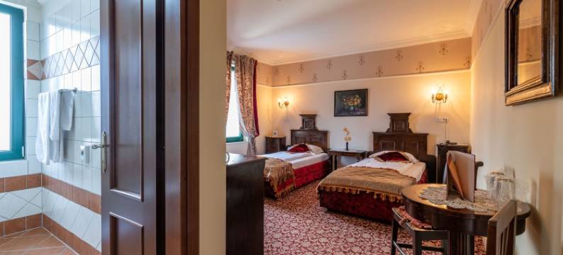 蒂米什瓦拉卡萨德尔索雷精品酒店(Hotel Boutique Casa del Sole)图片