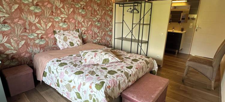 普伊德莱昂唐小屋家庭旅馆(Chambres d'Hotes Gite du Puy de l'Étang)图片