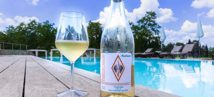 朋德雷德拉赛尔莫酒店(Podere Dell'Anselmo)图片