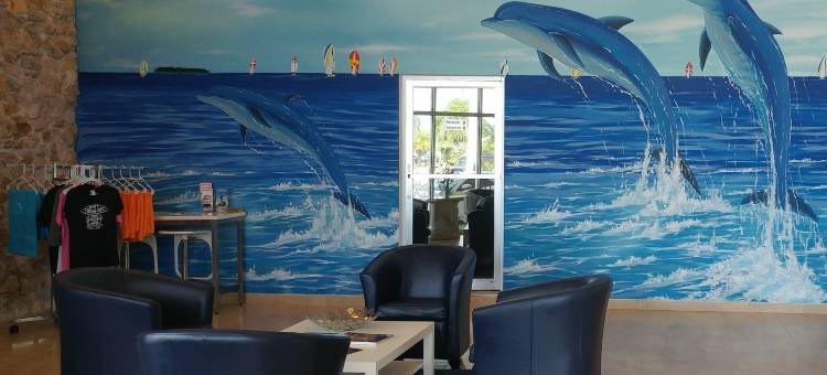 海豚钥匙度假酒店 - 珊瑚角(Dolphin Key Resort - Cape Coral)图片