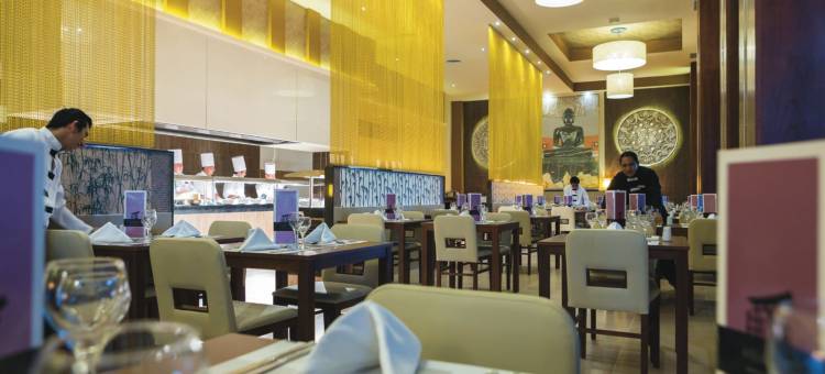 普拉亚卡尔悦宜湾酒店-全包(Riu Playacar - All Inclusive)图片