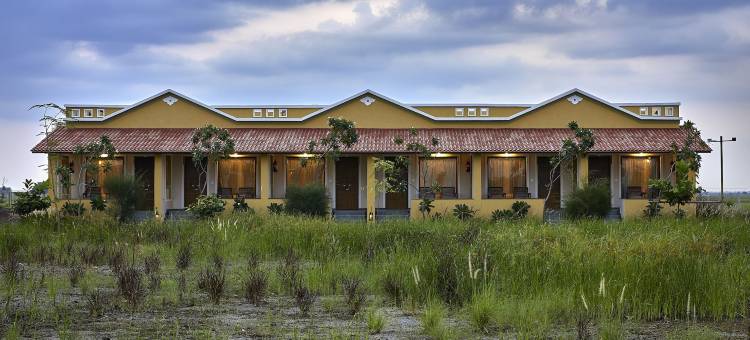 威拉瓦达尔黑羚野生动物园旅馆(Blackbuck Safari Lodge Velavadar)图片