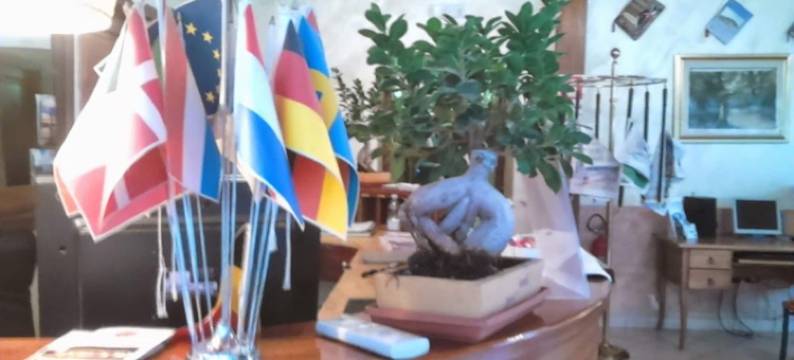 费德里科二世酒店(Hotel Federico II)图片