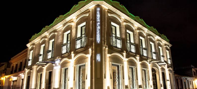 画廊广场精品酒店(Plaza Gallery Hotel Boutique)图片