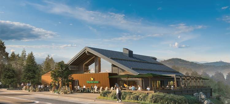 陶夫豪斯哈尔茨度假酒店(Torfhaus Harzresort)图片