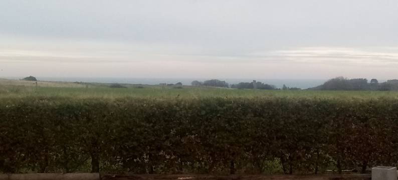 宝特维尔农场住宿加早餐式酒店(Chambres d'Hôtes la Ferme du Bout de la Ville)图片