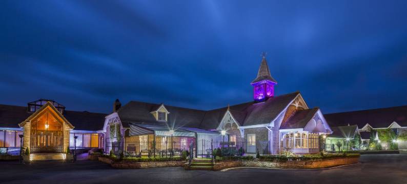 特雷希斯奥克伍德酒店(Treacys Oakwood Hotel, Shannon)图片