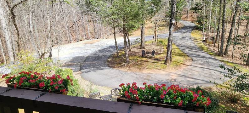 百合溪小屋(Lily Creek Lodge)图片