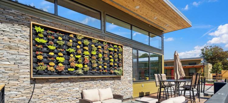 常青酒店(Evergreen Hotel)图片