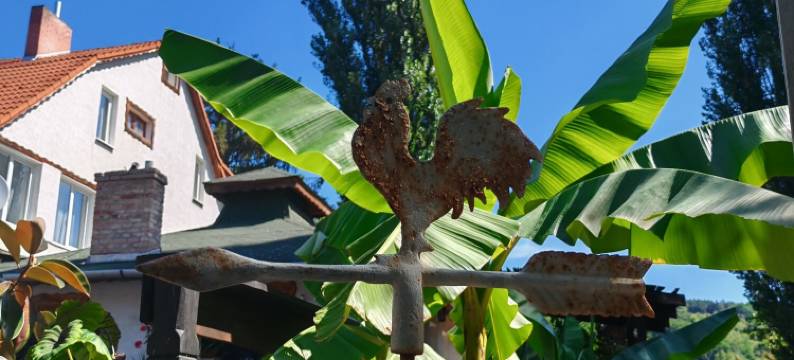 游牧酒店及豪华露营(Nomad Hotel & Glamping)图片