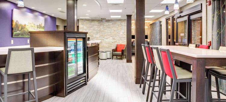 凯隆酒店-比尔特莫尔村(Clarion Inn Biltmore Village)图片