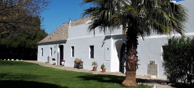 科尔蒂霍酒店(Cortijo El Indiviso)图片