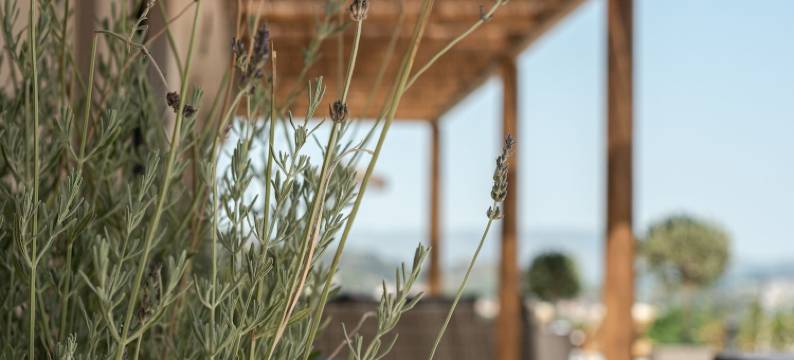 阿南塔蓝色公寓(Ananta Blue Residence)图片