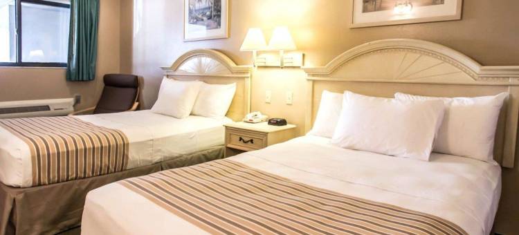 罗德威酒店阿波普卡南部(Rodeway Inn Apopka South)图片