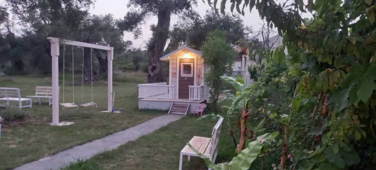 艾米莉亚的花园(Amelia's Garden)图片