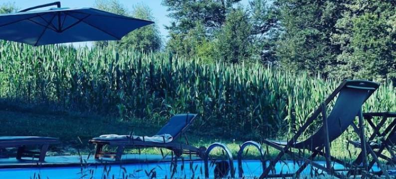 Boutique Glamping Divja DiVine图片