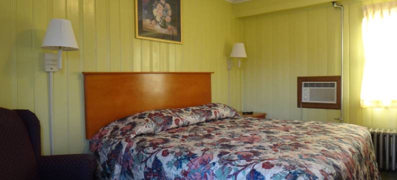 松岭汽车旅馆(Pine Ridge Motel)图片