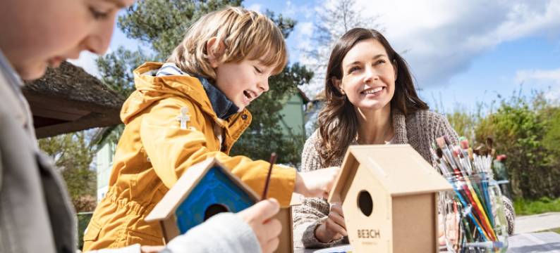 弗莱森湖榉木度假酒店(BEECH Resort Fleesensee)图片